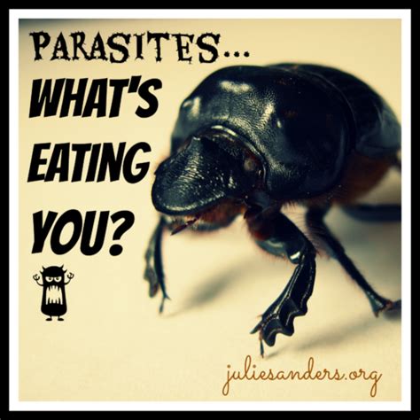 parasites porn